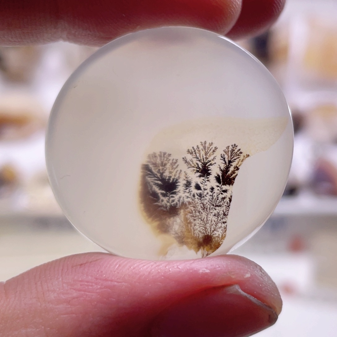 玛瑙/玉髓颈饰未镶嵌半*鸟