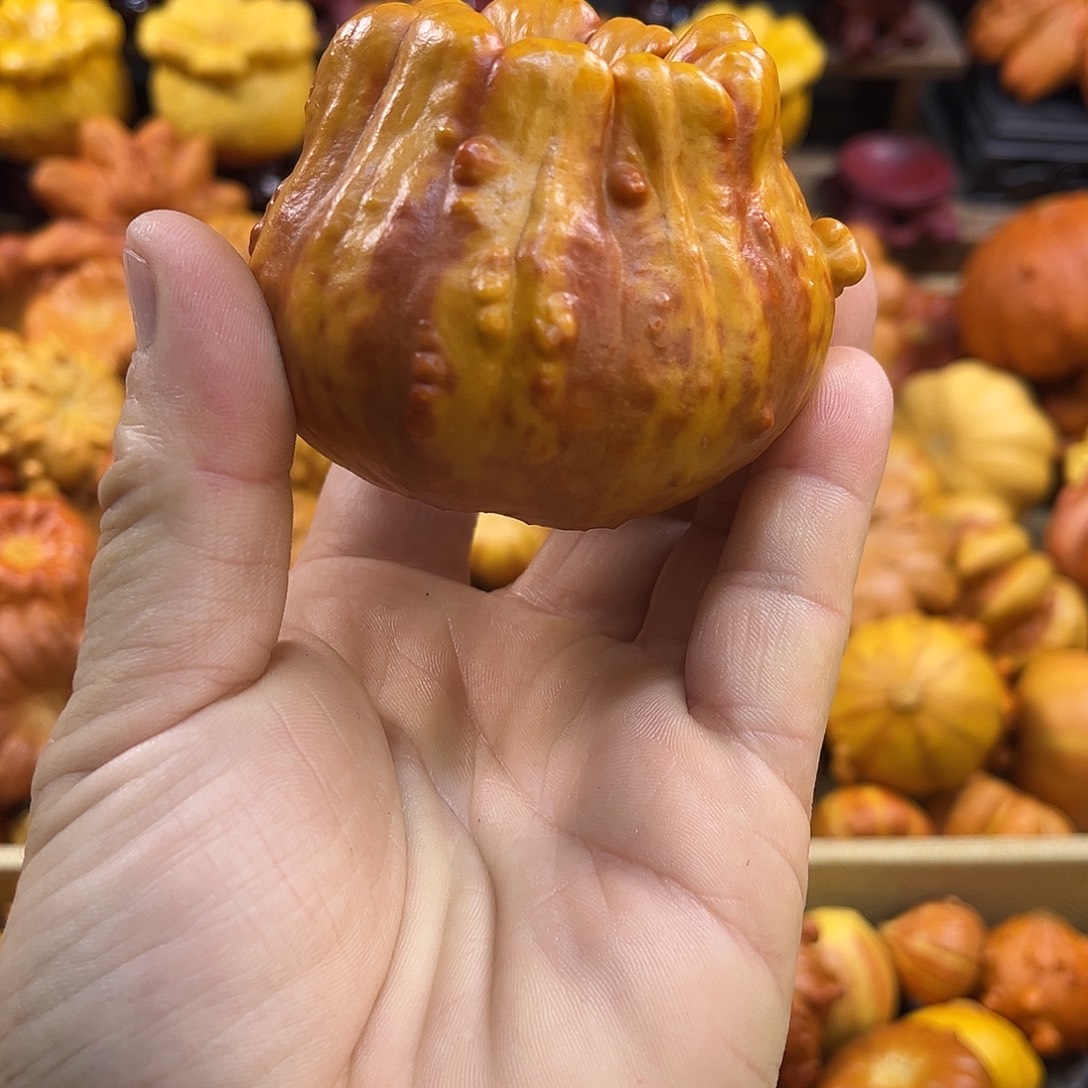 自***花墨西哥葫芦聚宝盆