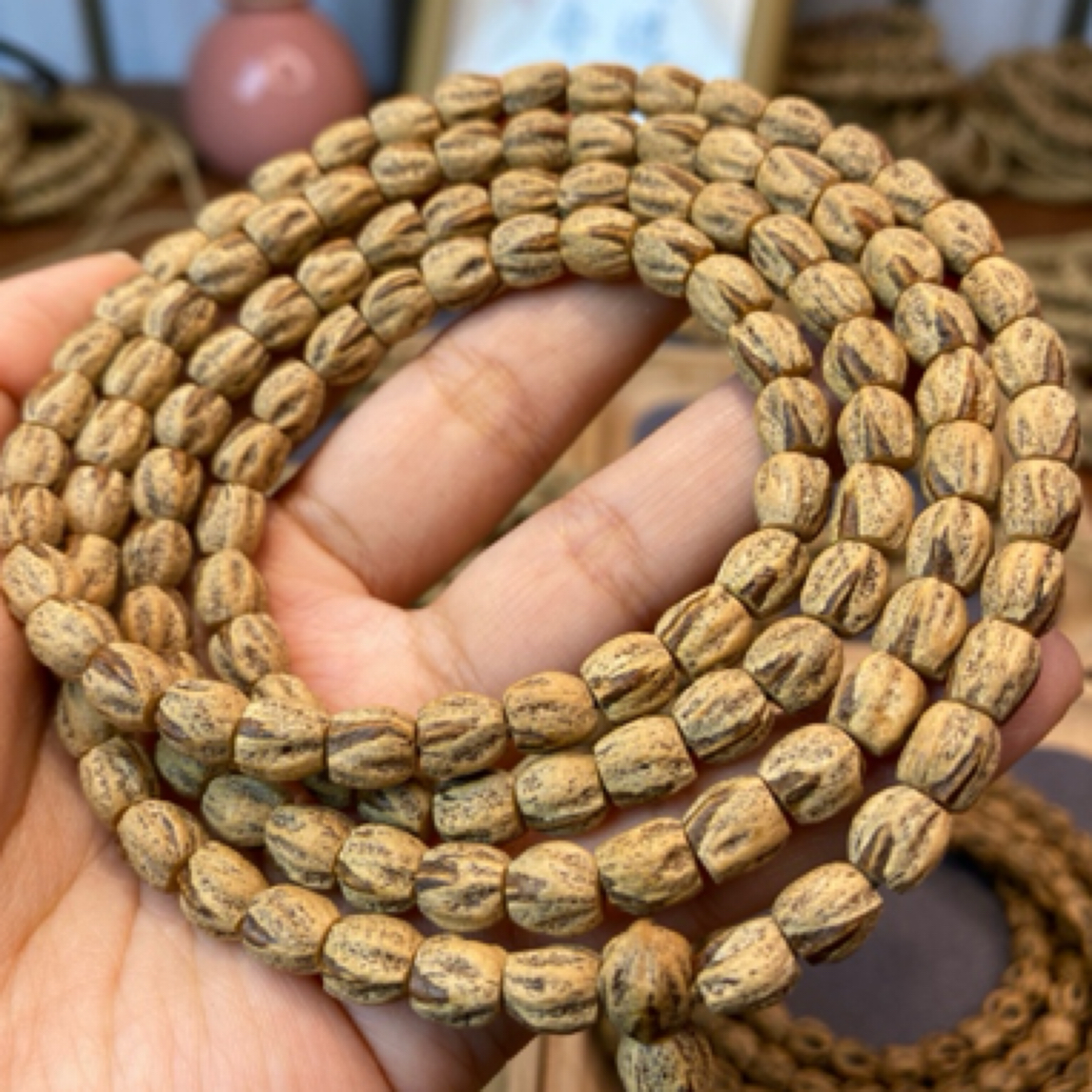 热振百香 红芽高桩直筒顺极说柏香籽