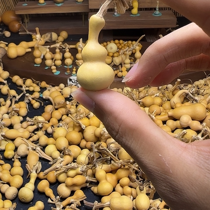 五***风好的八点半大家都看得见