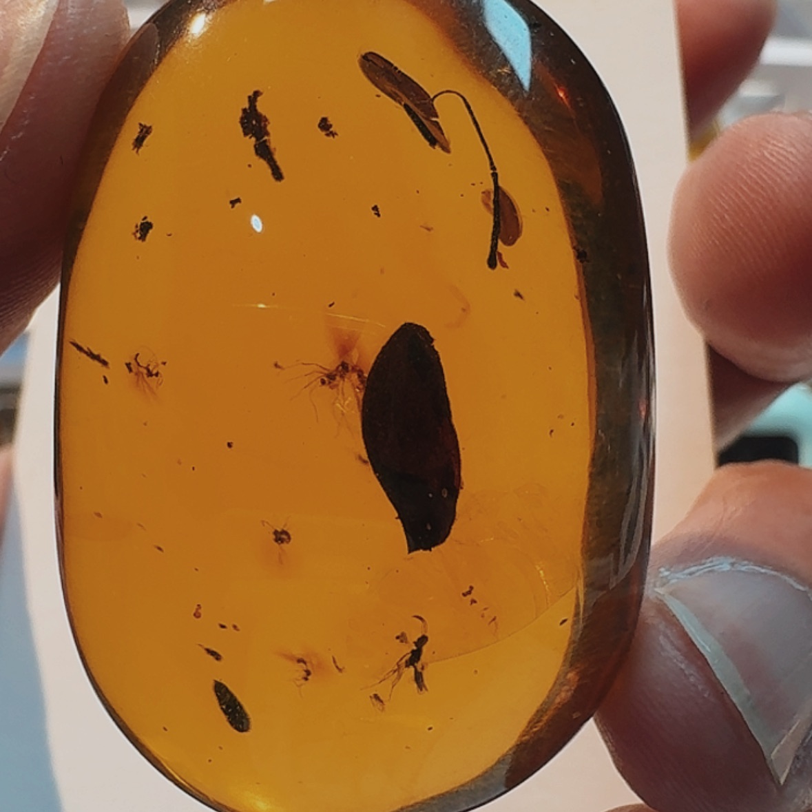 【闪购商品】琥珀裸石未镶嵌天然墨西哥虫珀吊坠