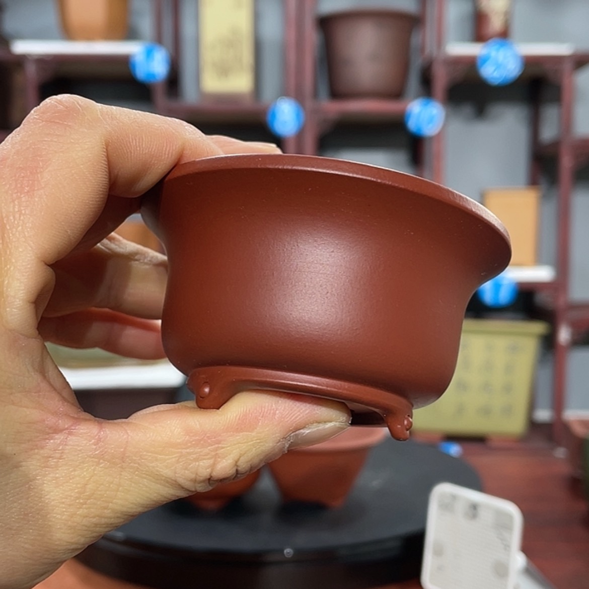 【闪购商品】紫砂花盆紫砂花盆