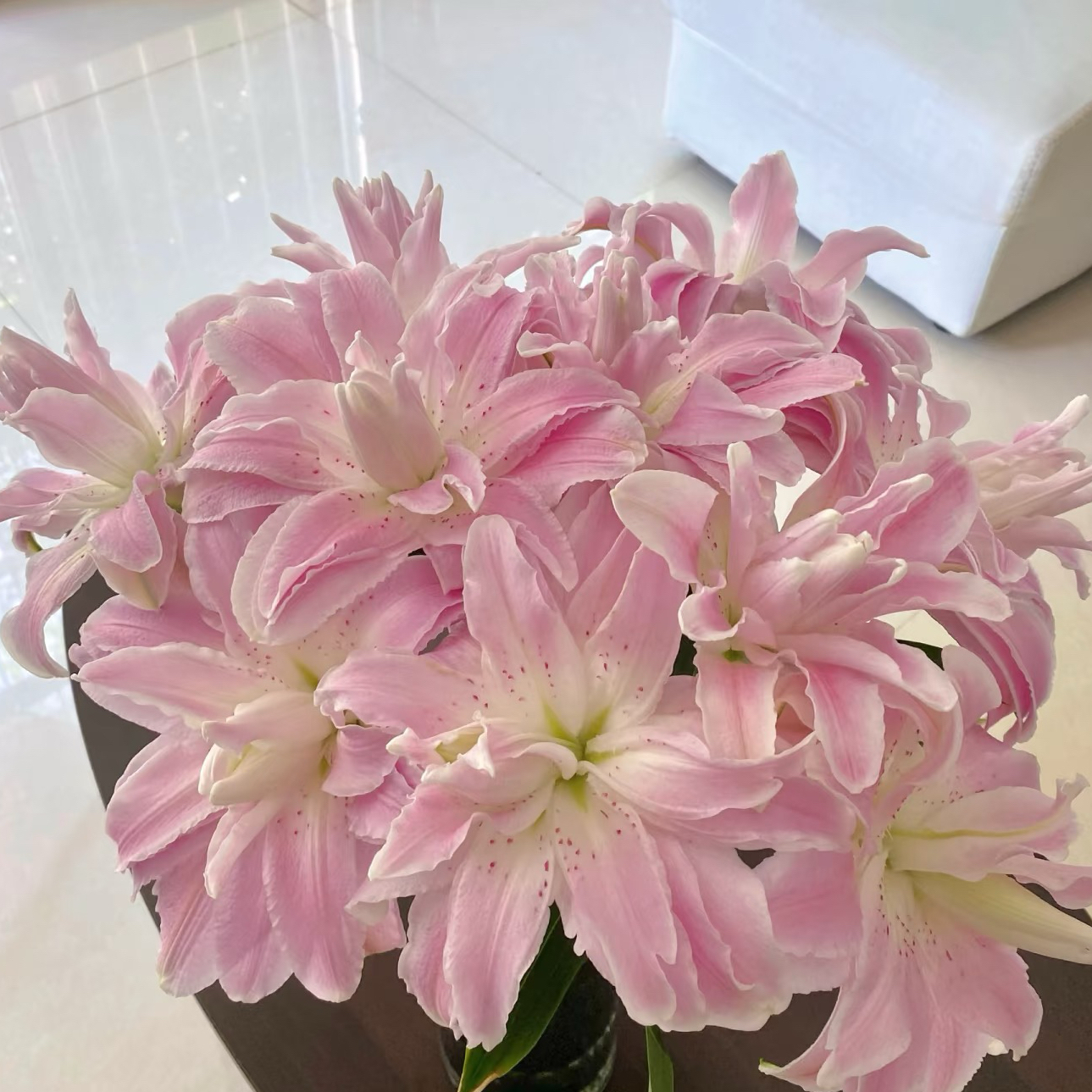 顺顺  三头莲花雅致重瓣百合拍2单以上升级快递已发货不支持退款