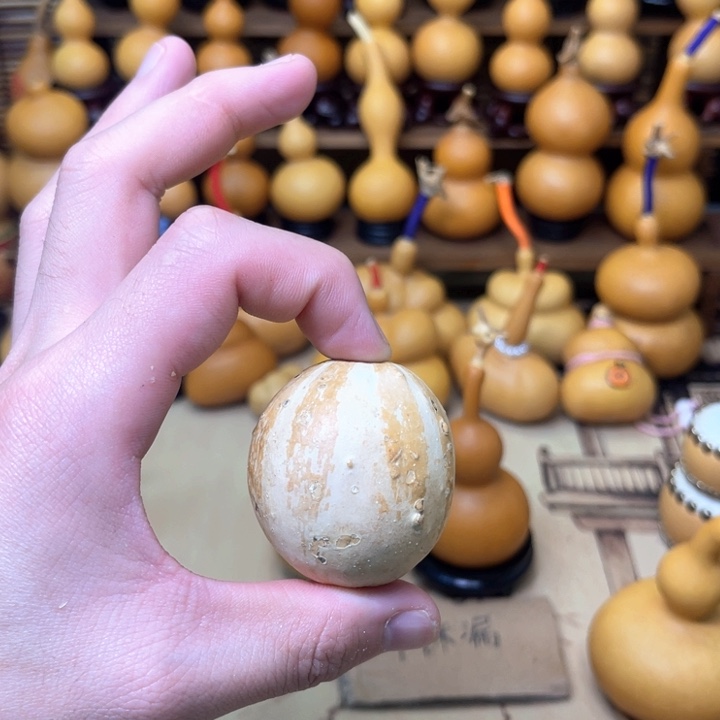 墨西哥鸡蛋厚皮11