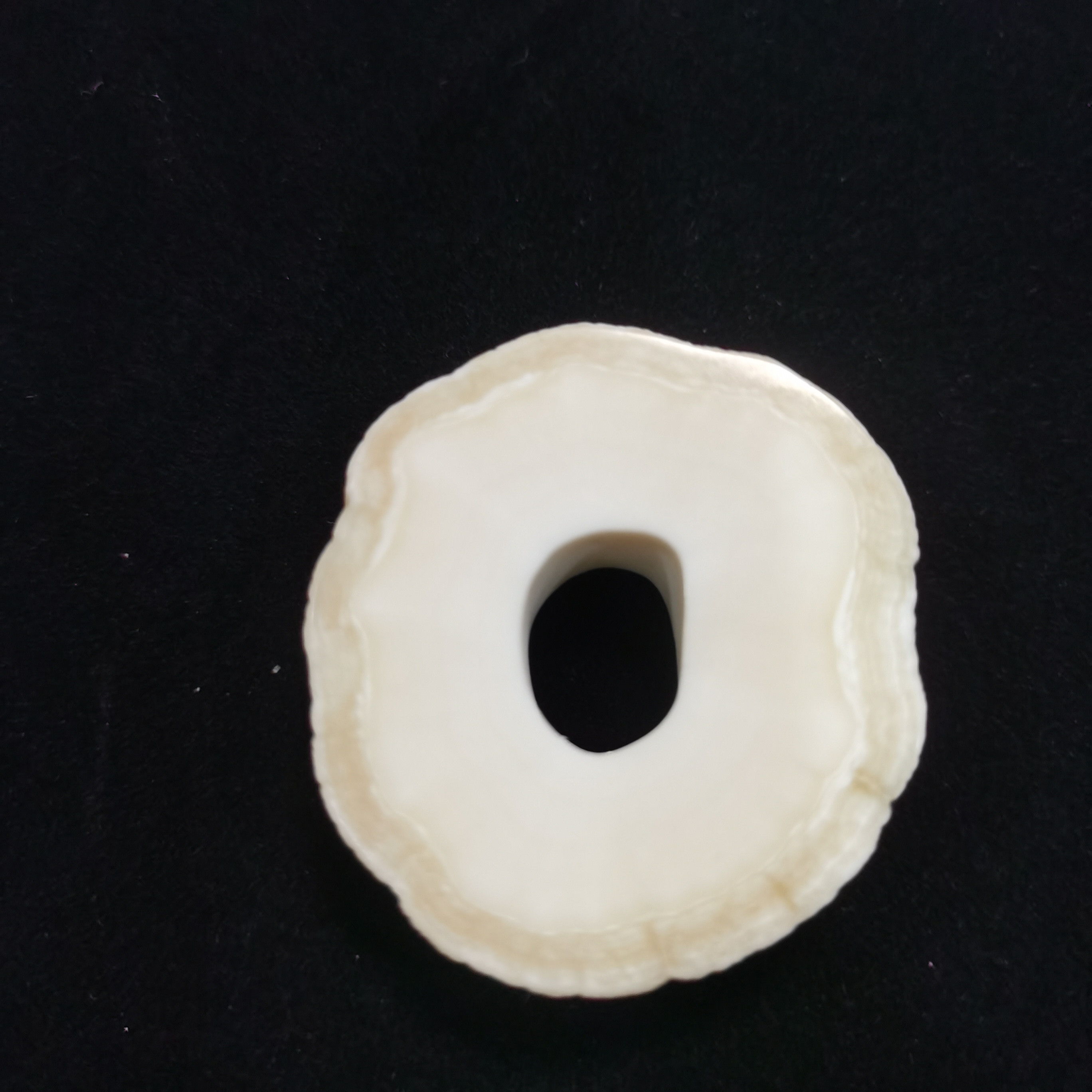 猛犸独饼子 YF136