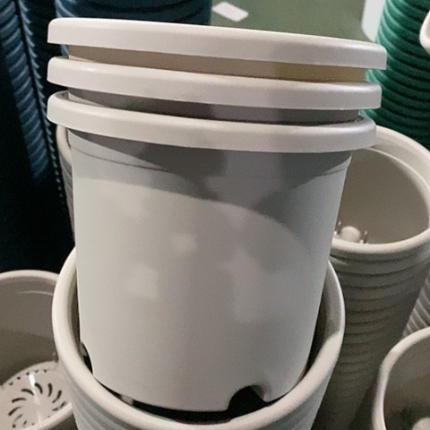 树脂四季2号灰白无托13个微瑕