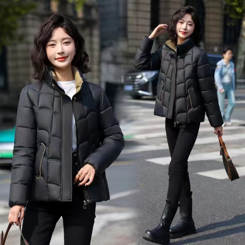 583款女士时尚立领休闲短款棉服