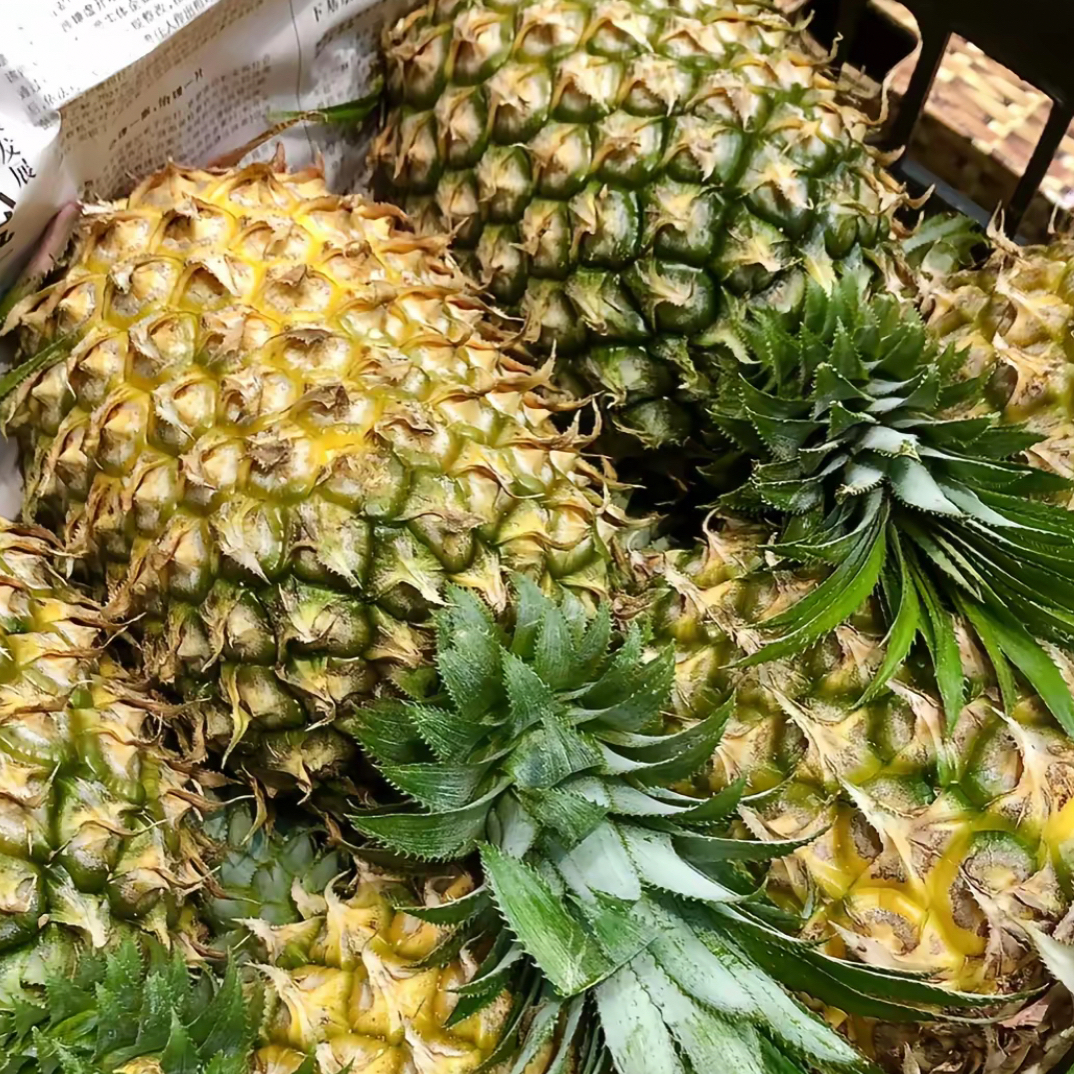 新鲜酸甜可口凤梨15.8元一个