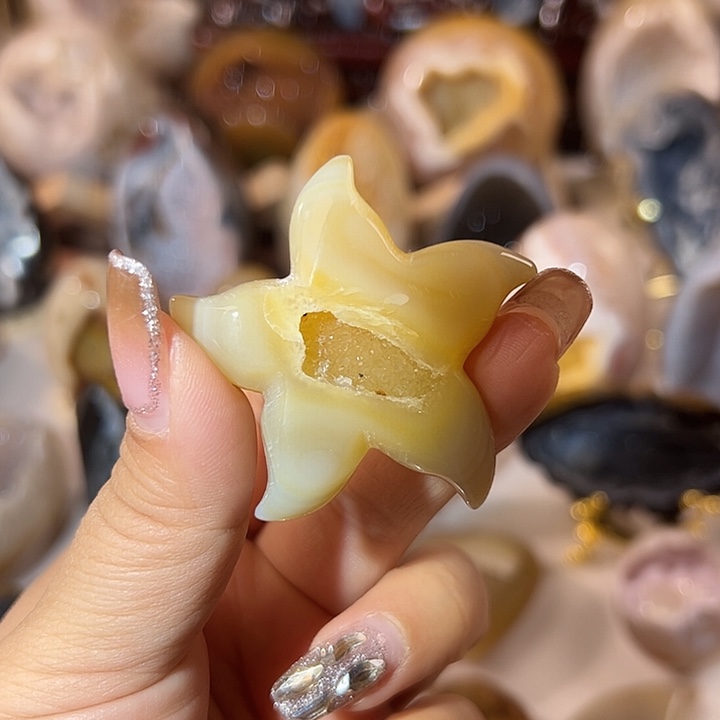 玛瑙/玉髓无未镶嵌海星