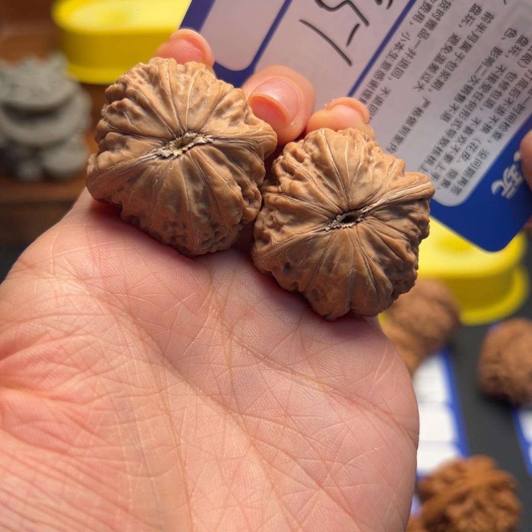 大***风核桃951全品铁锤妹妹35尺