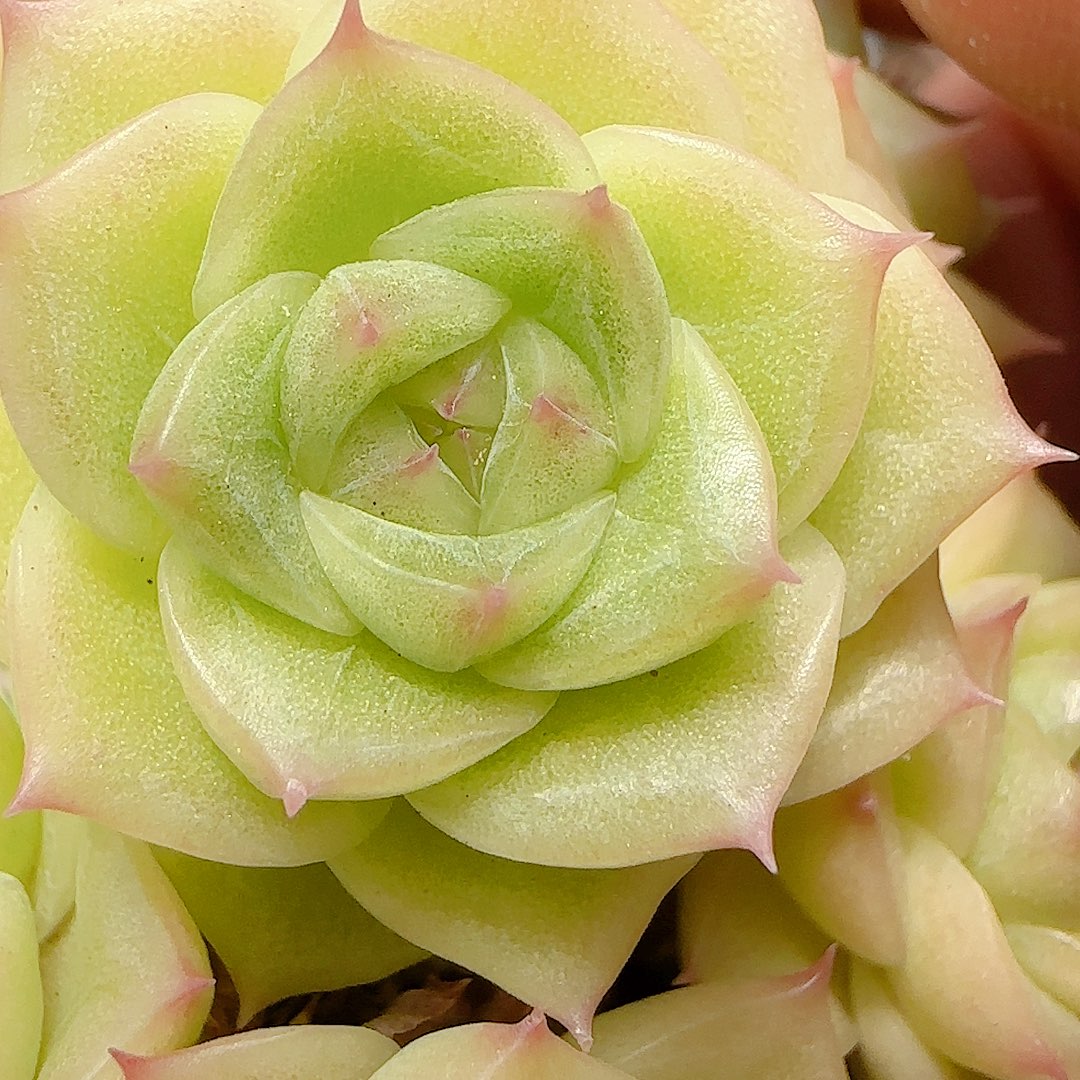 i***”【闪购商品】0817-90（ht-151）