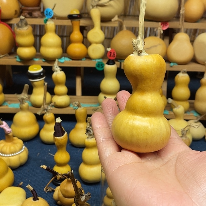 名***211111111111111111111