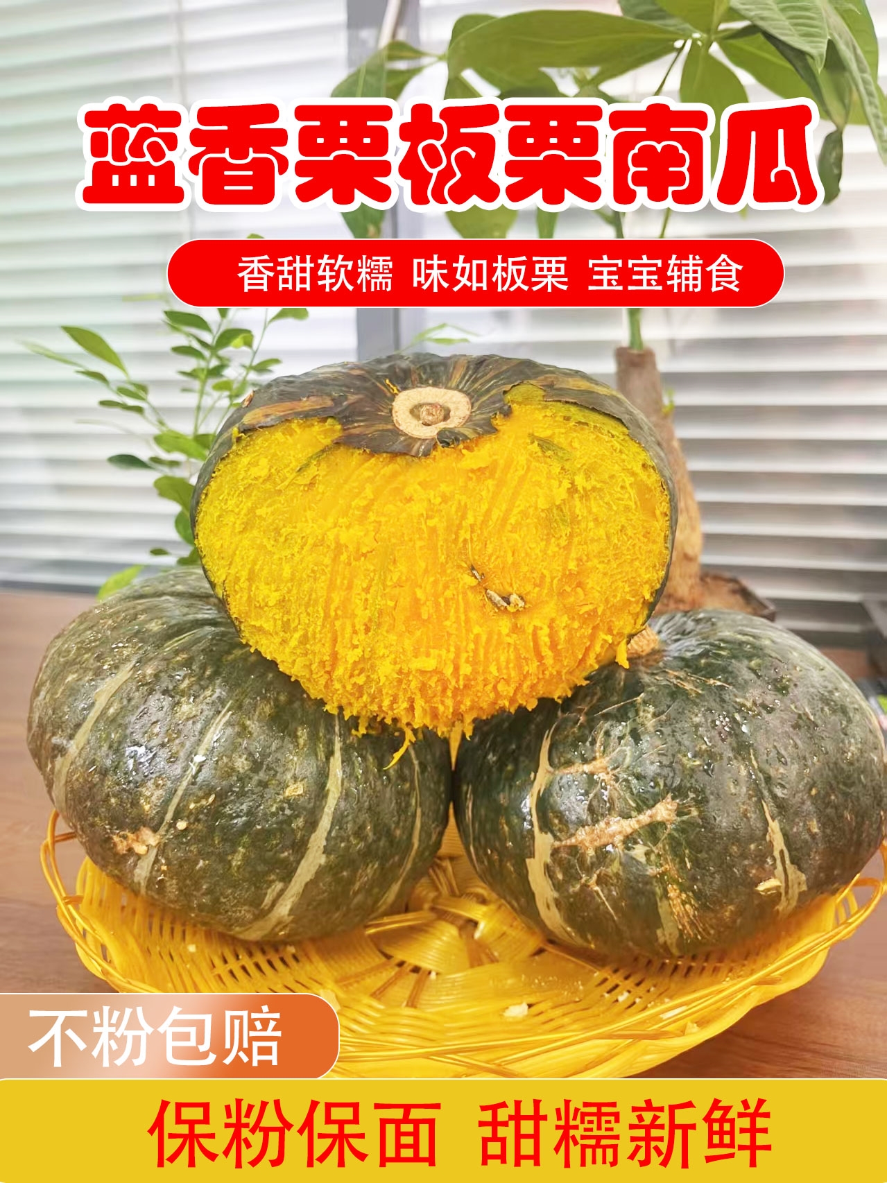 甘肃高端农产品现摘板栗南瓜蓝香栗板栗南瓜粉糯香甜宝宝辅食粗粮