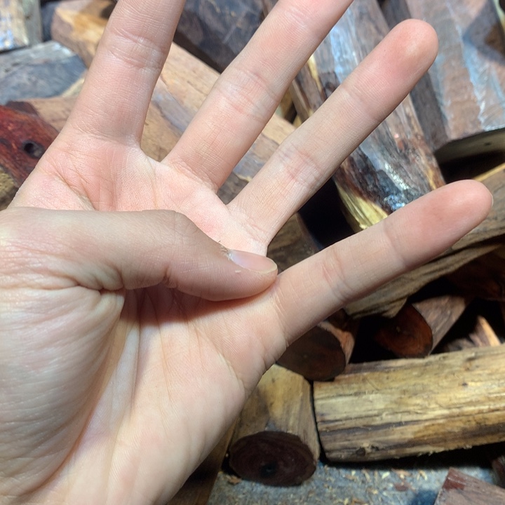 黄花梨/降香黄檀