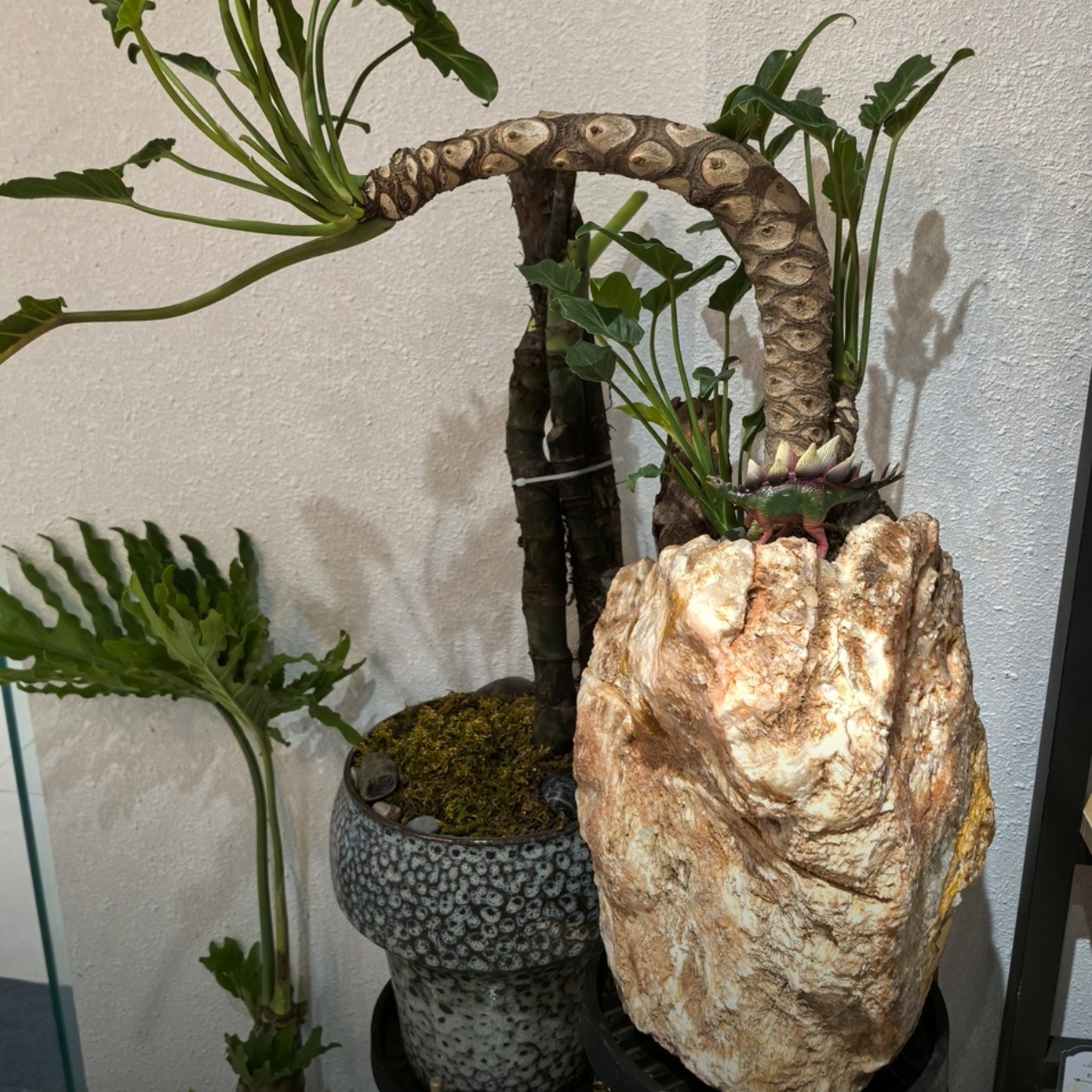1号链接灵璧奇石花盆鱼缸直播间一物一拍天然石头花盆