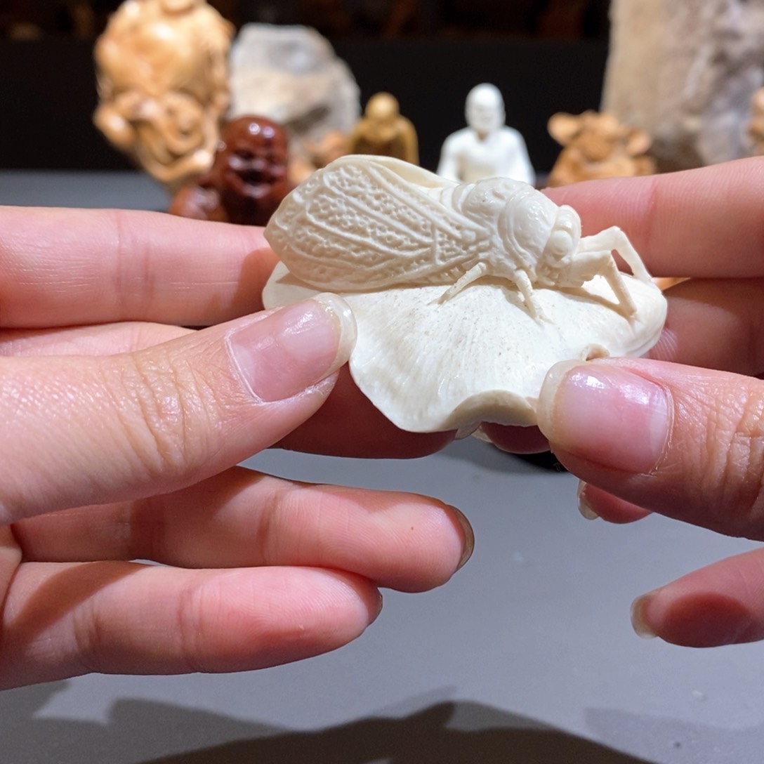 柏木炜*鹿角一鸣惊人