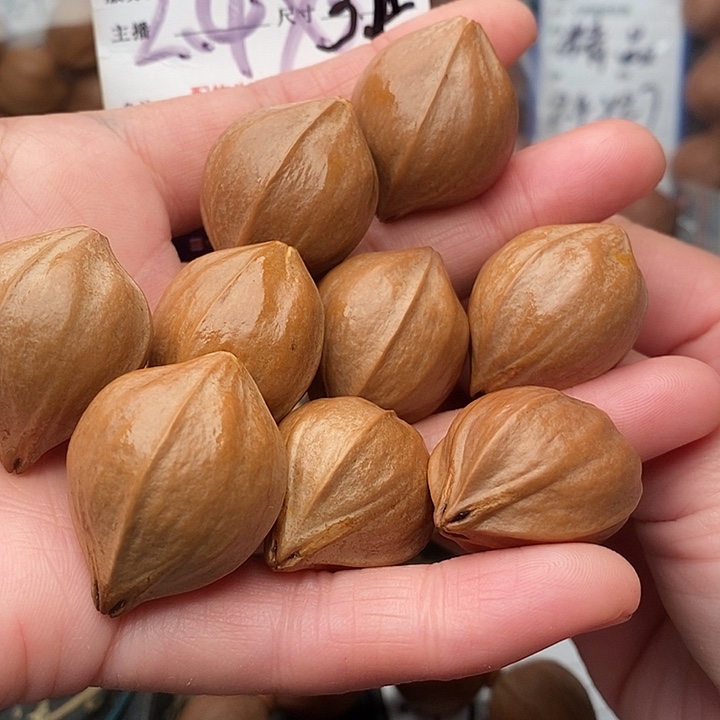 手串/手链橄榄核