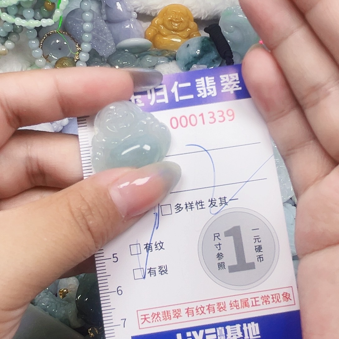 翡翠未镶嵌吊坠(不含链)111