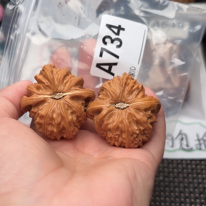 文玩核桃把件核桃白狮子43