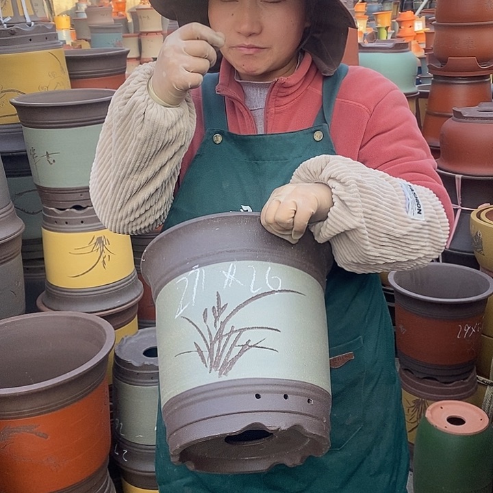 紫砂花盆盆栽花卉苗木种植