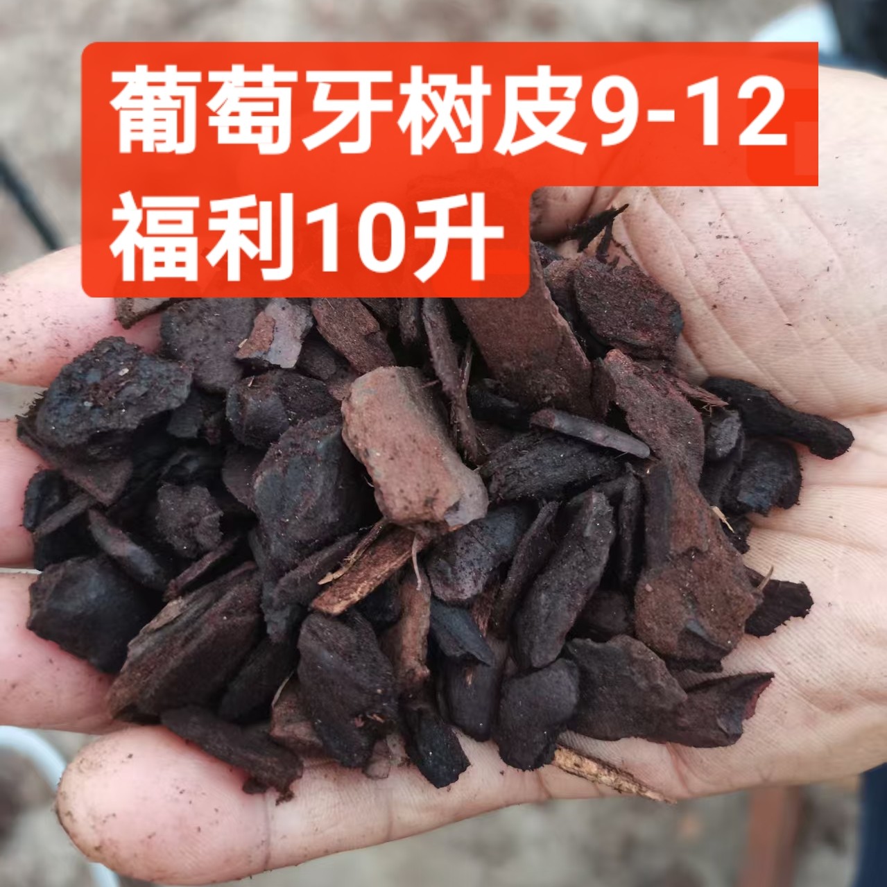 葡萄牙树皮9-12mm发酵熟的脱脂松树皮10升