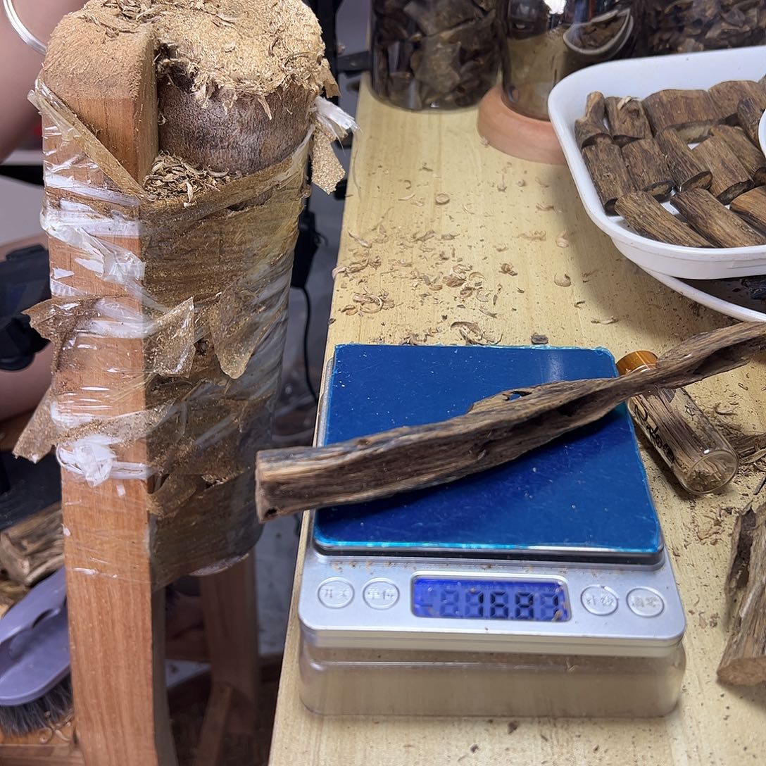 香料绿棋楠虫漏16克乌身