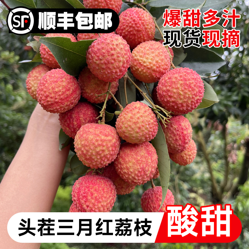【今天拍明天到】三月红荔枝7斤酸甜果孕妇水果当季荔枝现摘现发