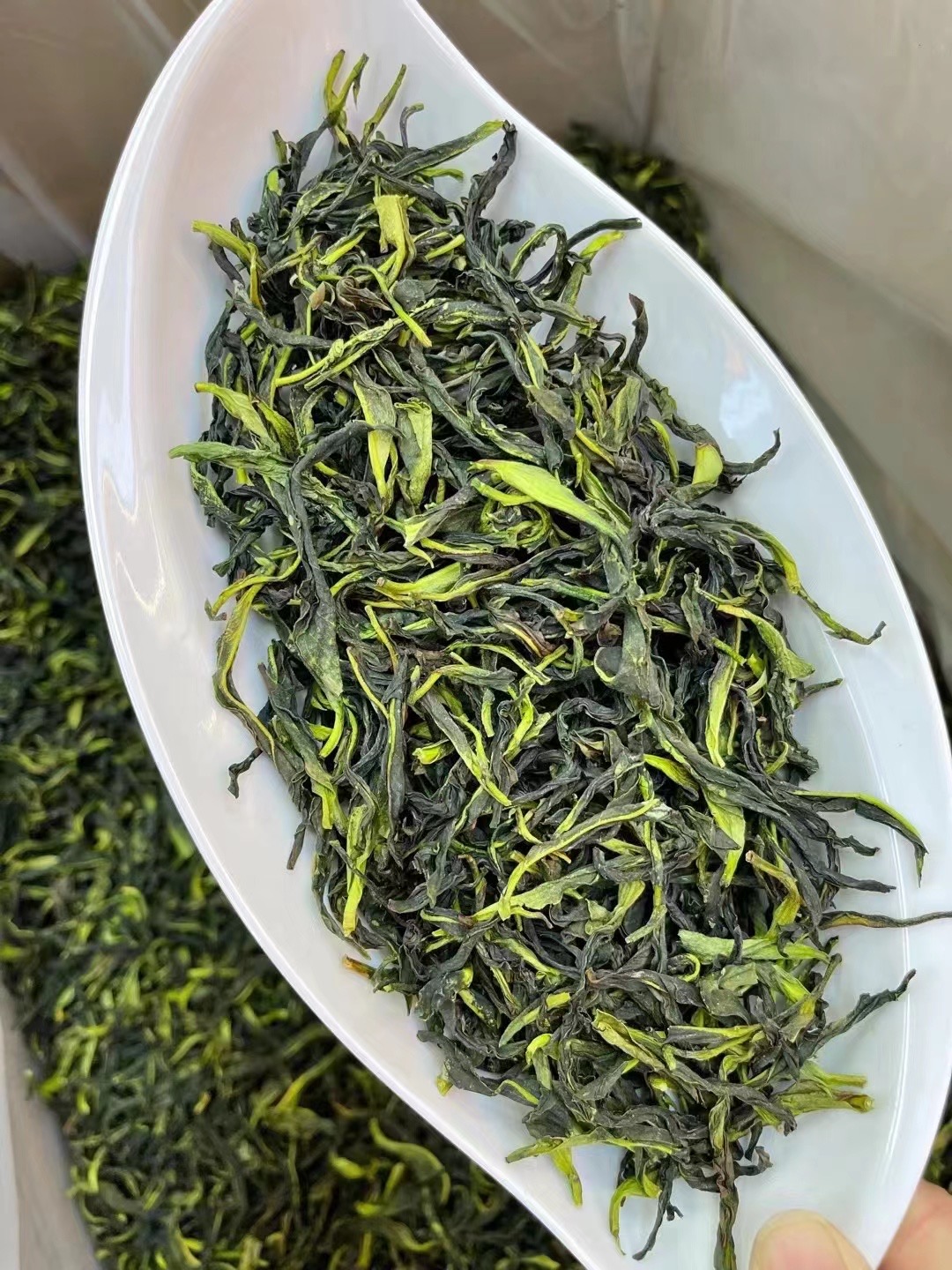 【6月4号】乌岽李仔坪-抽湿鸭屎香02