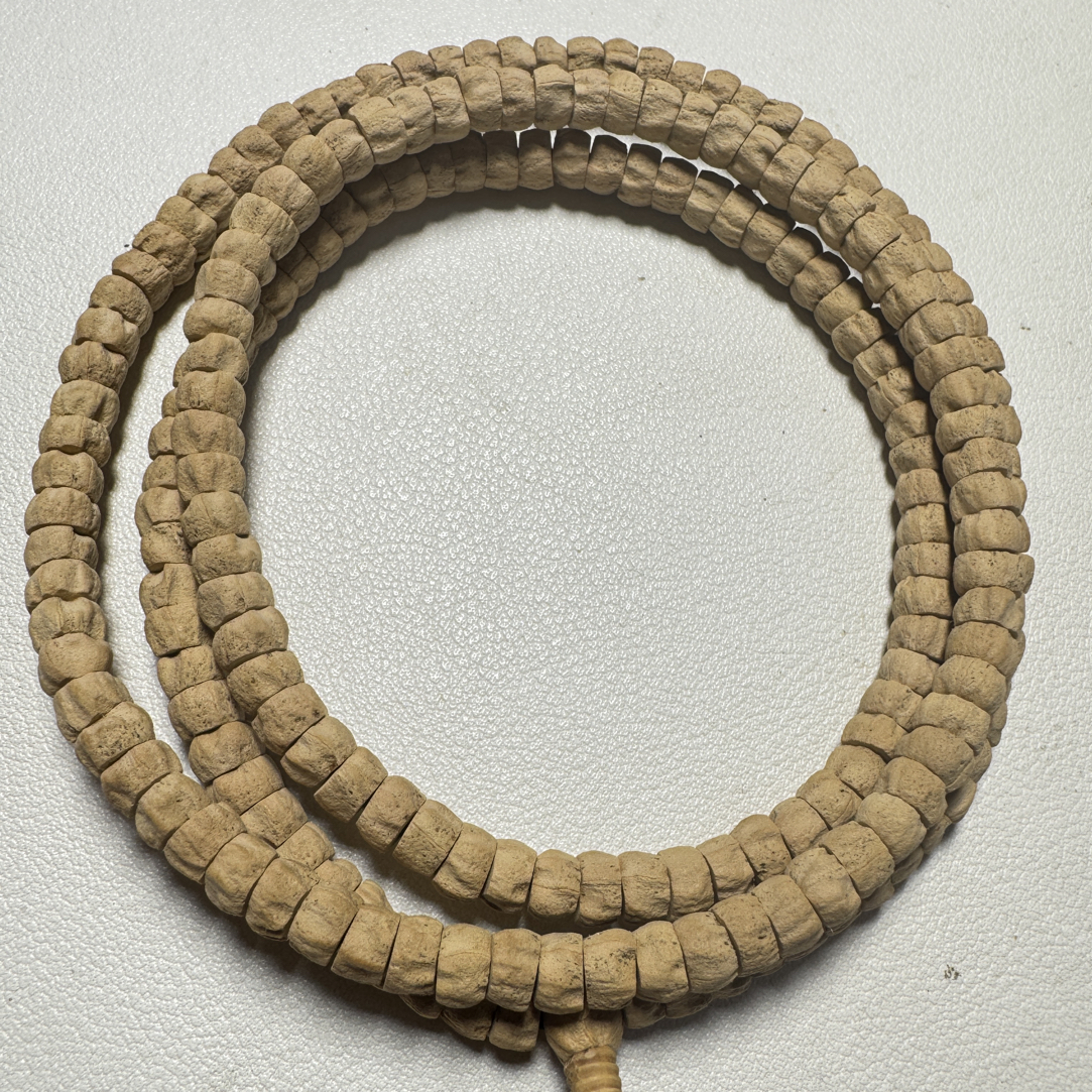 能红透的热振百香籽斜切大肠