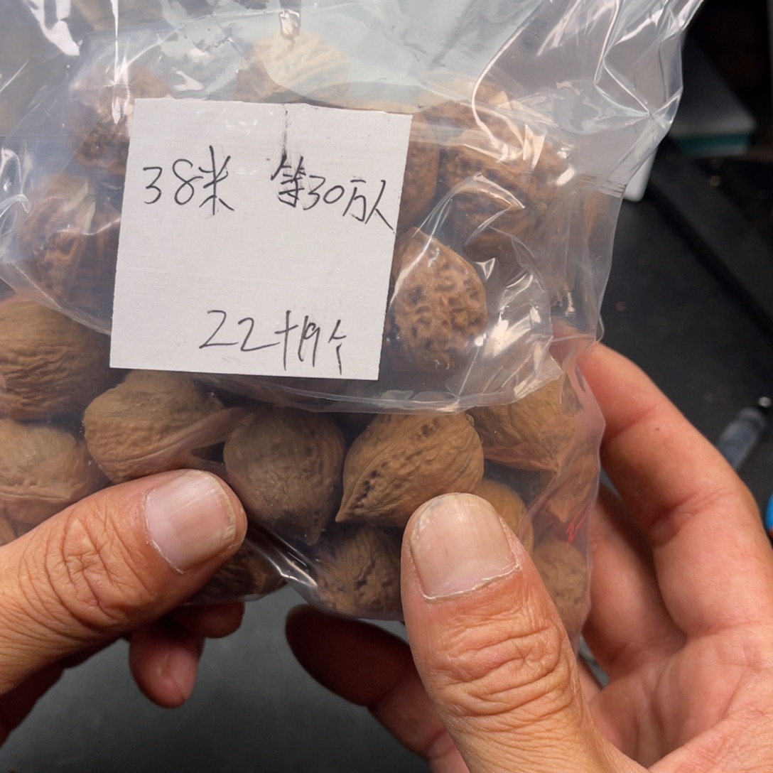 领***管野生着核的2包38米