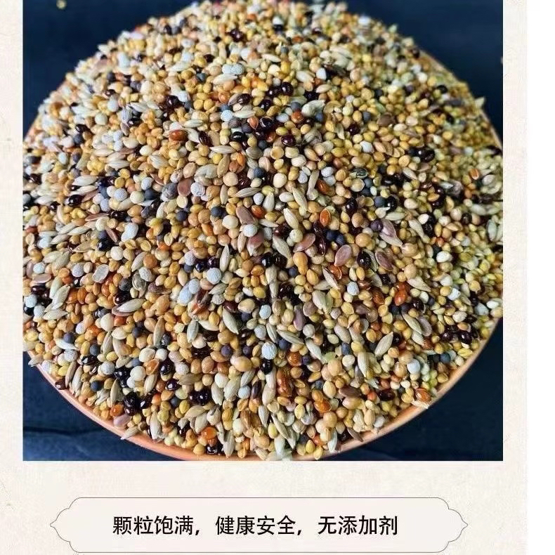 玉鸟芙蓉鸟丝雀金青灰燕等专用混合鸟粮现配现发颗粒饱满4斤
