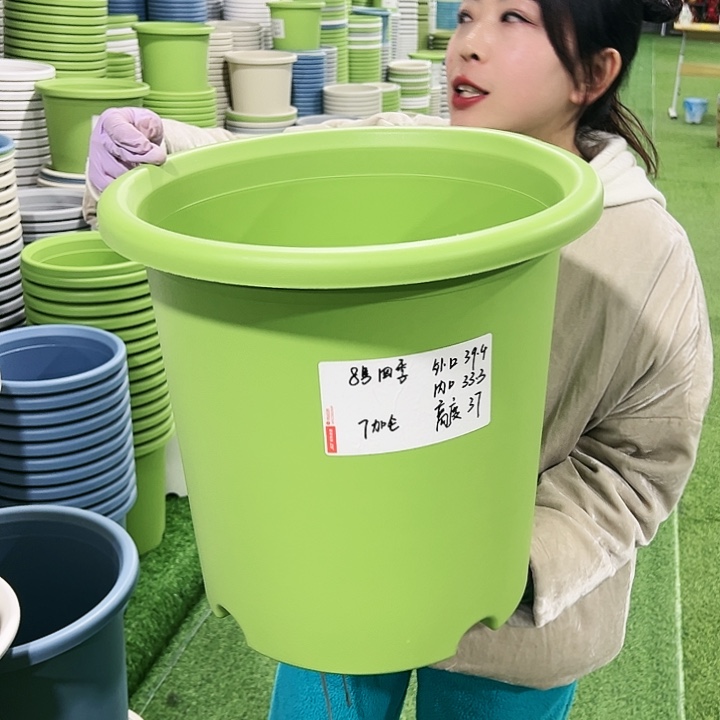 特价8号四季口39高37果绿3只无托