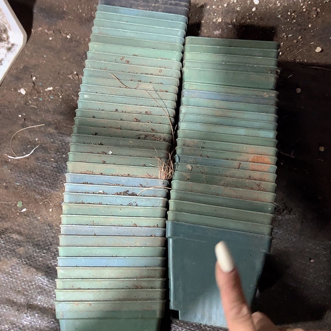 绿色方盆 全部打包 10口径8.5高 
