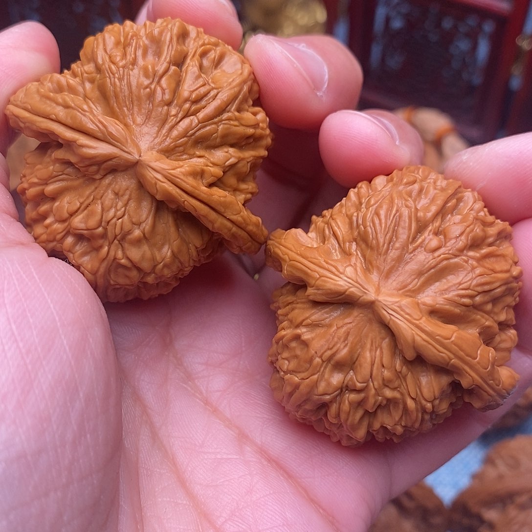 把件文玩核桃毕业白狮子42.9尺