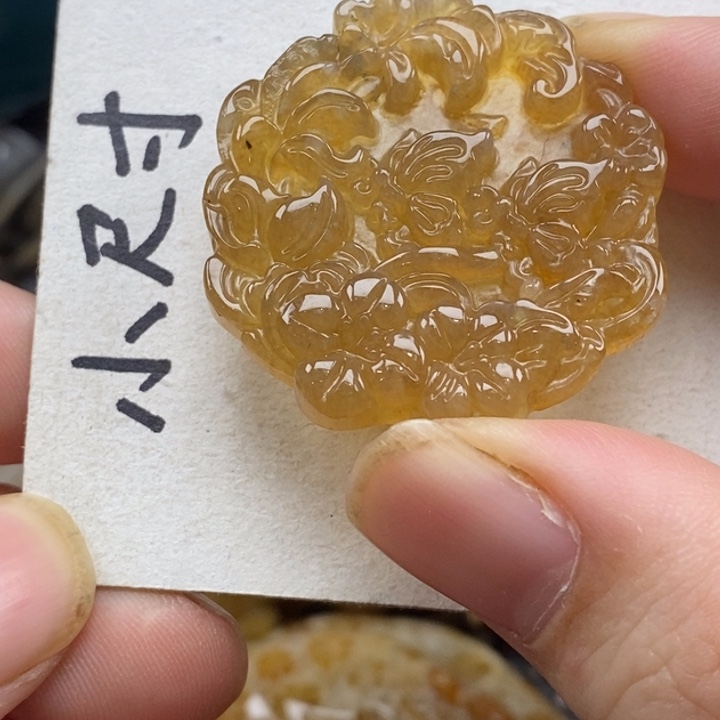 硅化珊瑚（珊瑚玉）未镶嵌颈饰