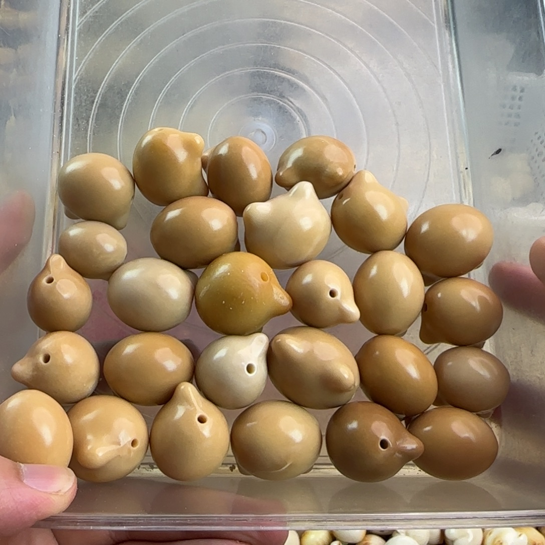 时***浅吊坠菩提根/象牙果瑕疵27颗处理无售后