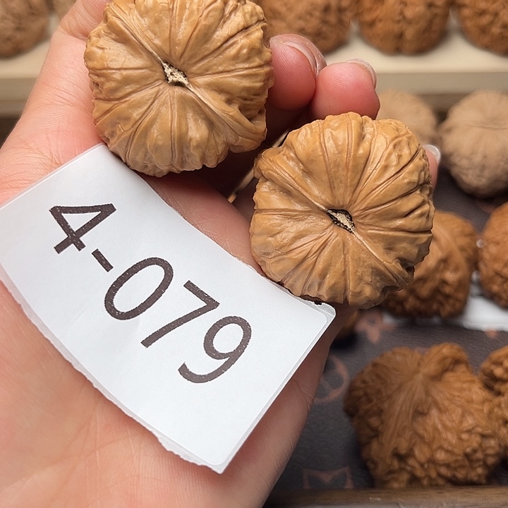 核桃41南瓜墩4079