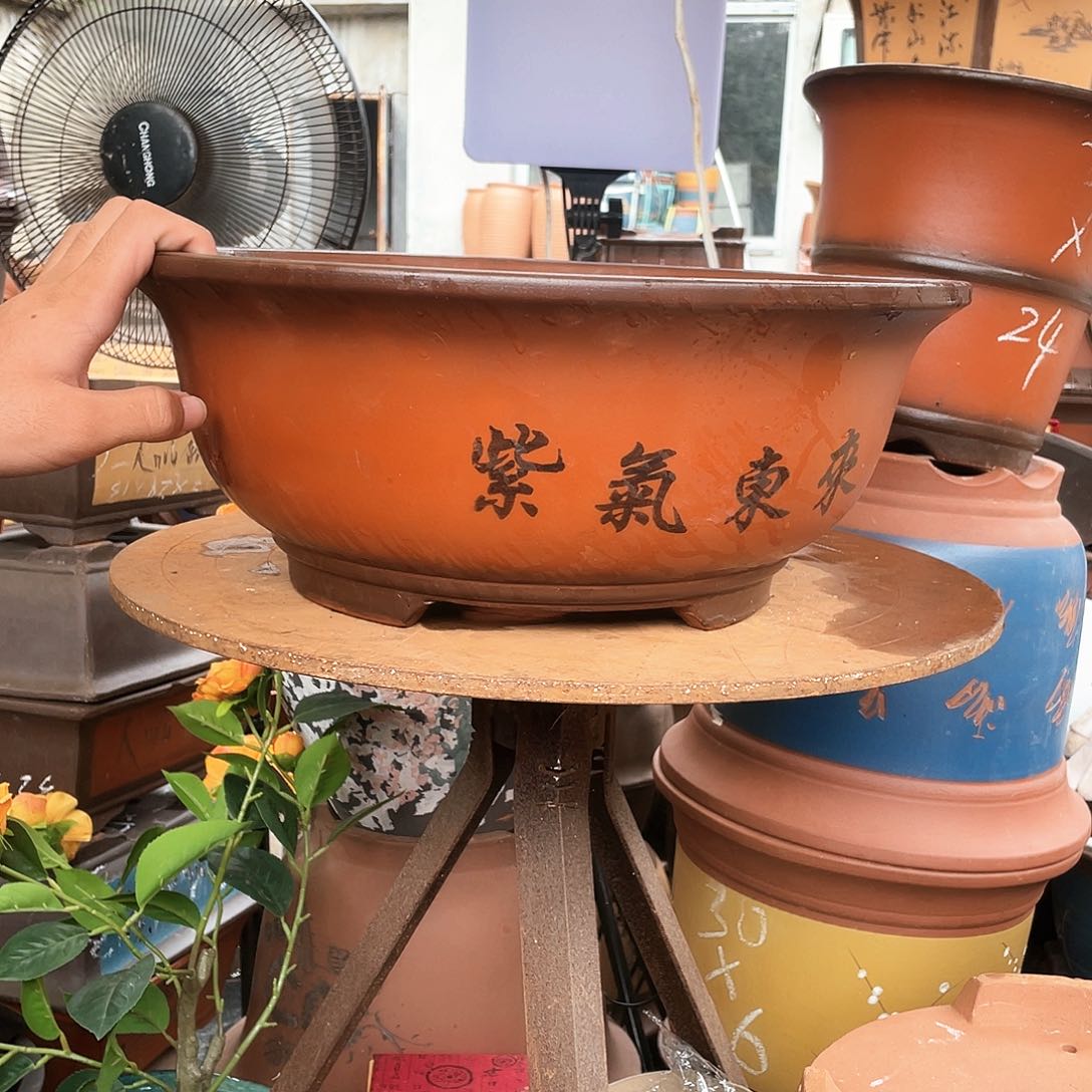 40大红花盆紫砂花盆紫砂