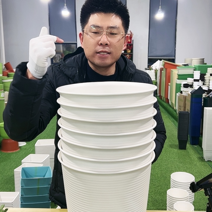 正品高陶口27高27白色4只无托