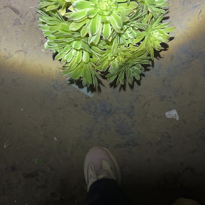 法师链接一物一拍68