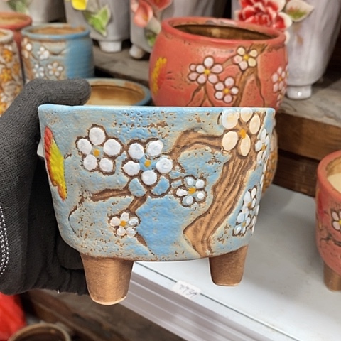 【闪购商品】红陶1