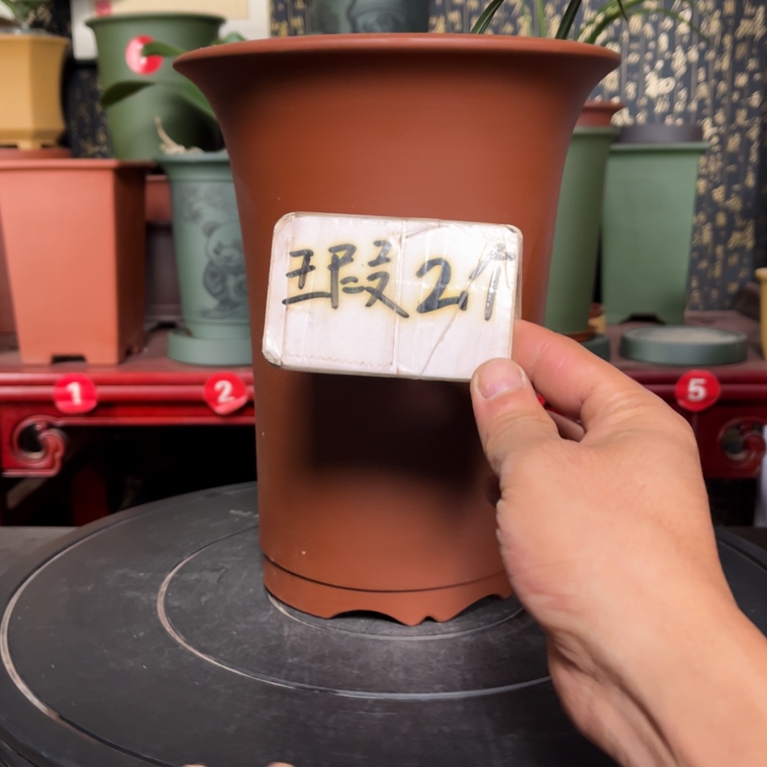 紫砂花盆紫砂花盆
