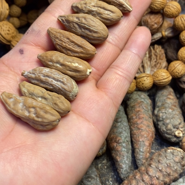 桃核吊坠东北特产150