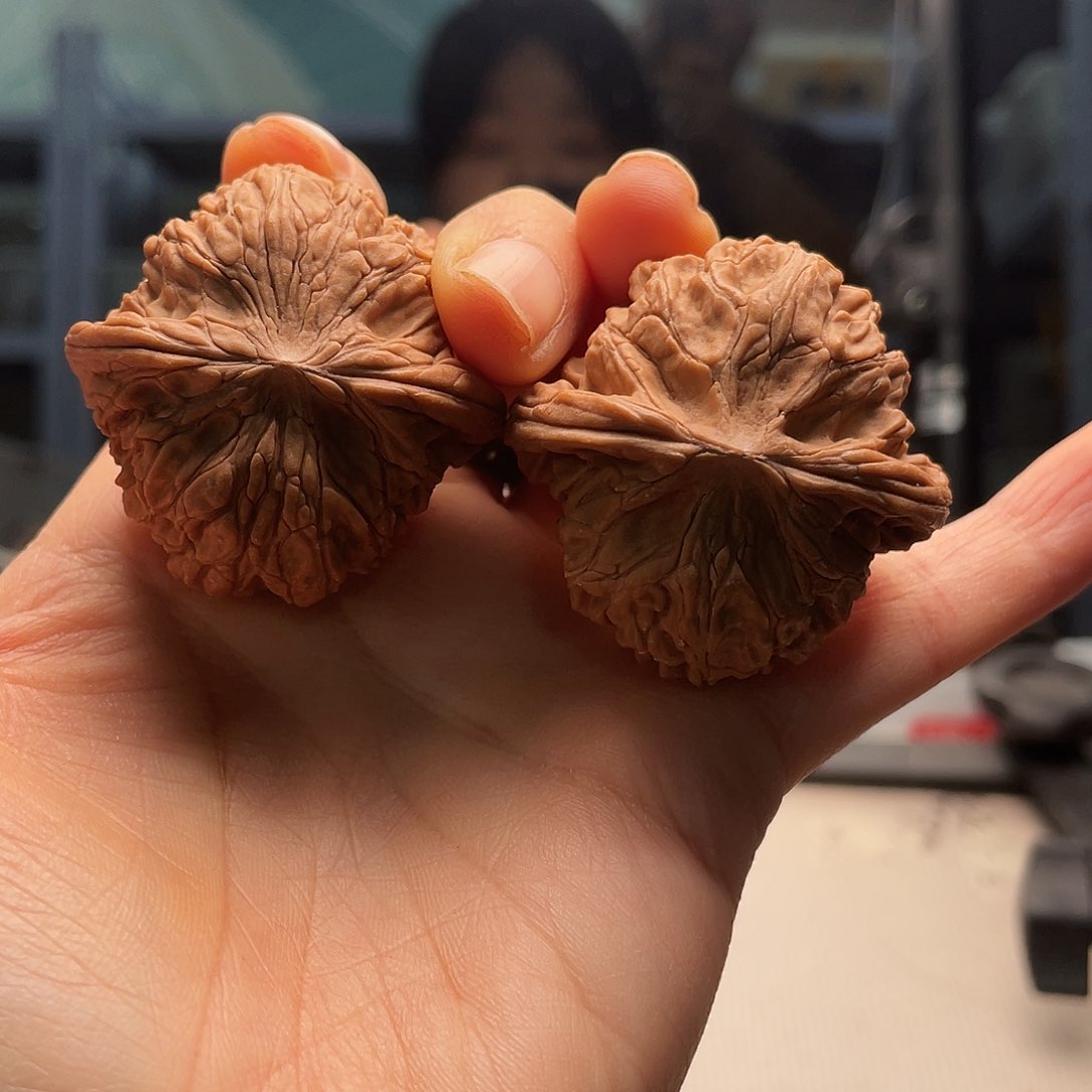 全品磨盘23.8疆属