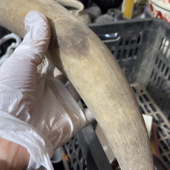 陆***瓷片孤品微瑕看好下单