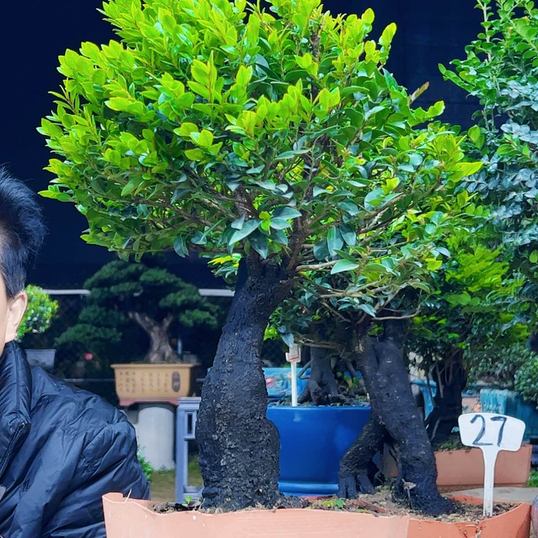 以实际为准用****8