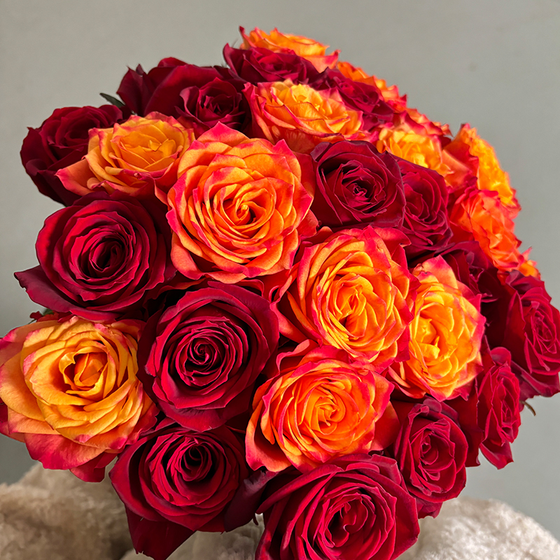 【红玫瑰+原子】50cm 现采现发 顺丰包邮 山东基地直发