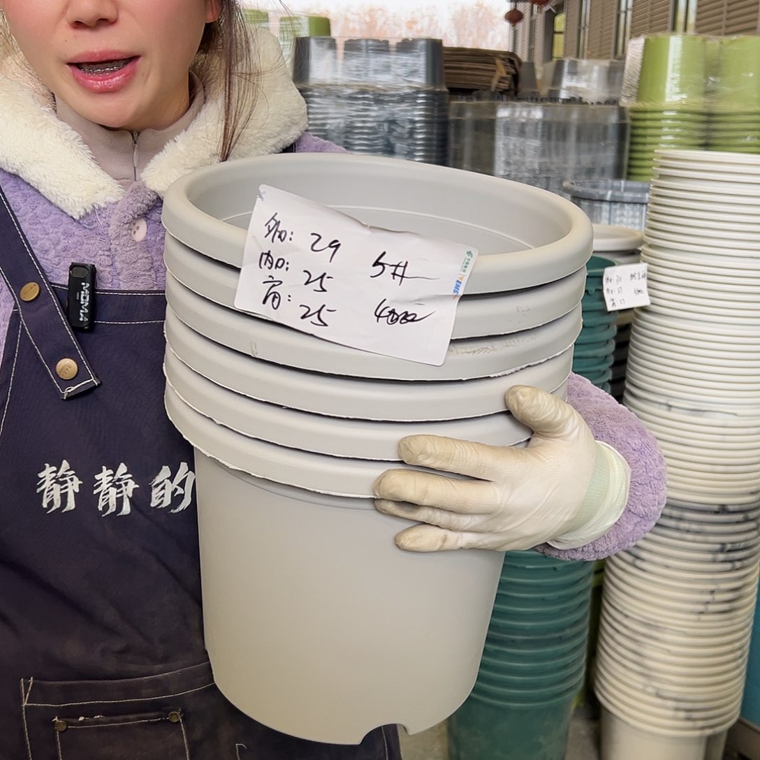 四季盆5#灰白6个无托