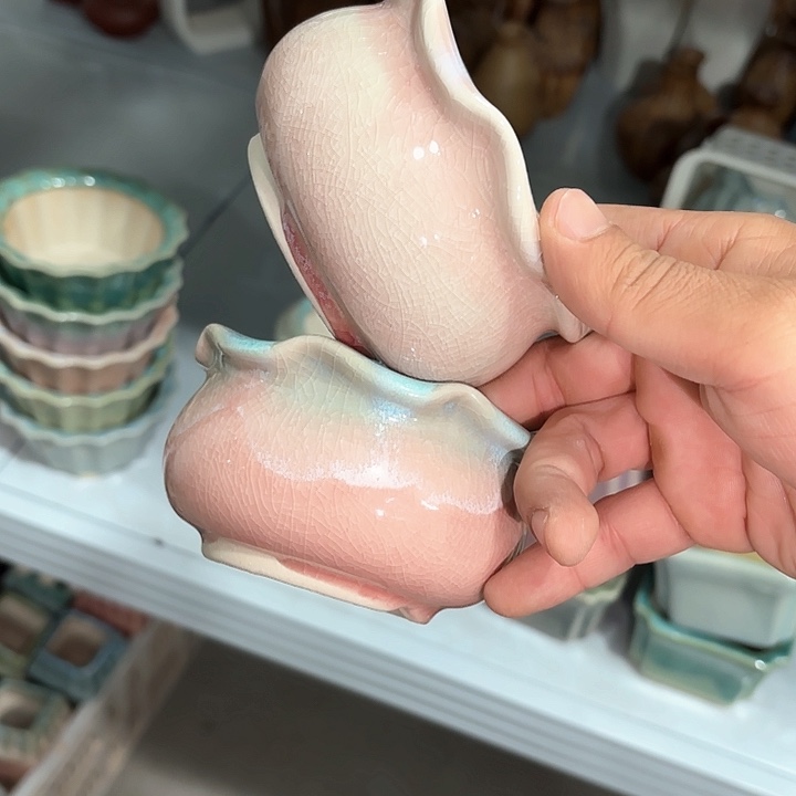 红陶量货｜口8-10高6深浅搭配发4