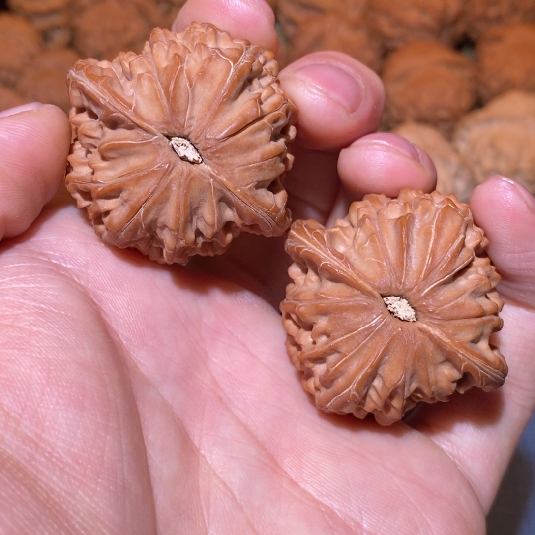 41尺 全品白茬 正磨